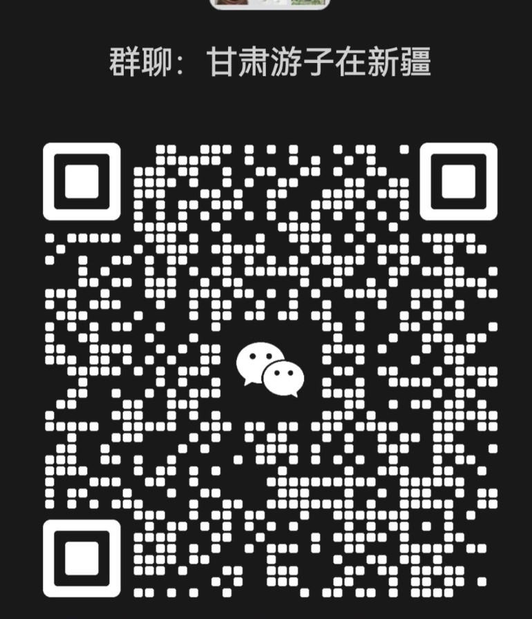 甘肃游子在新疆