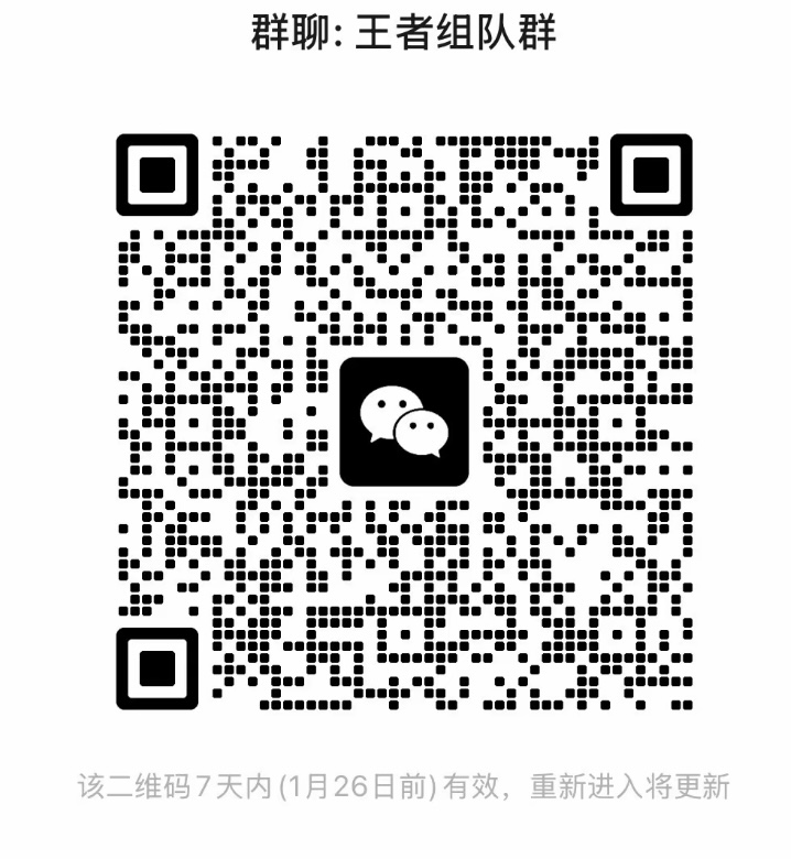 王者组队群