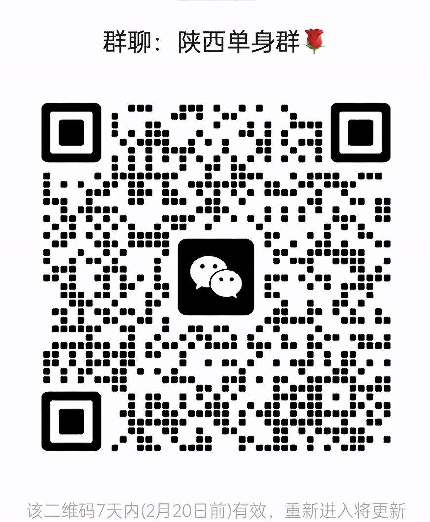 陕西单身群