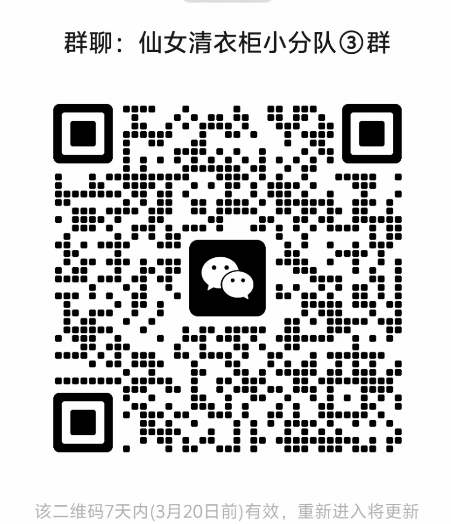 仙女清衣柜小分队