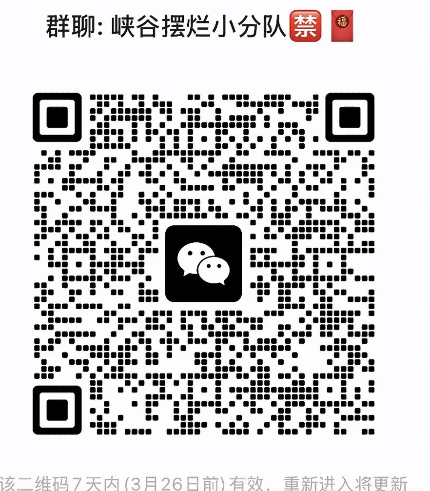 峡谷摆烂小分队