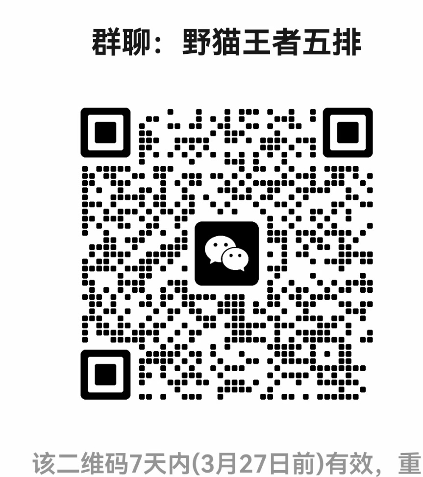 野猫王者五排