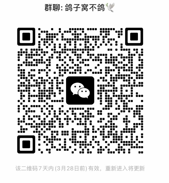 鸽子窝不鸽