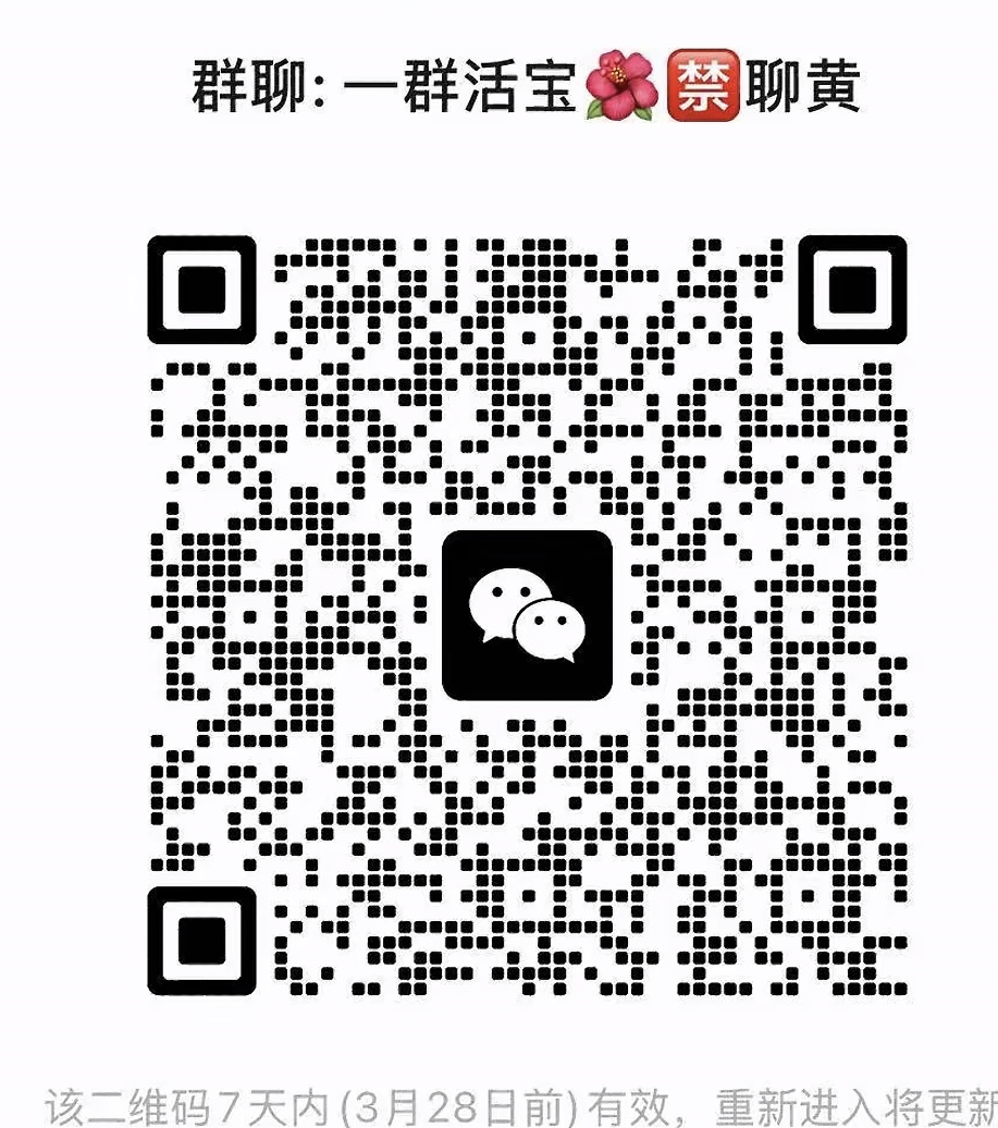一群活宝