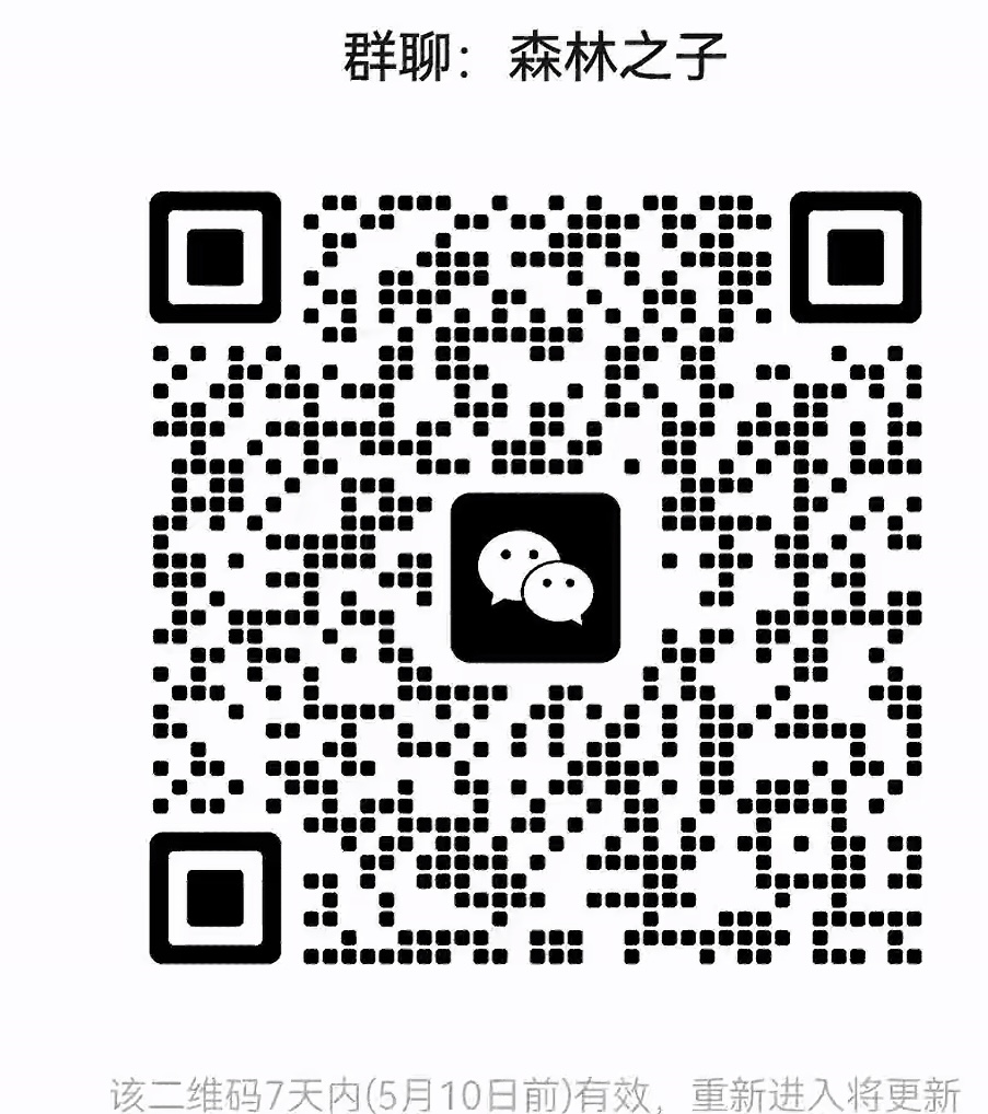 森林之子