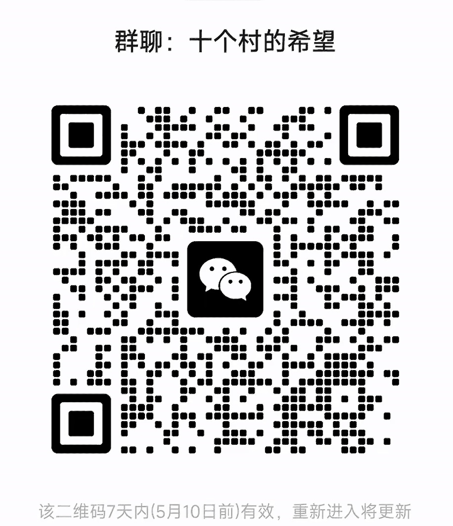 十个村的希望