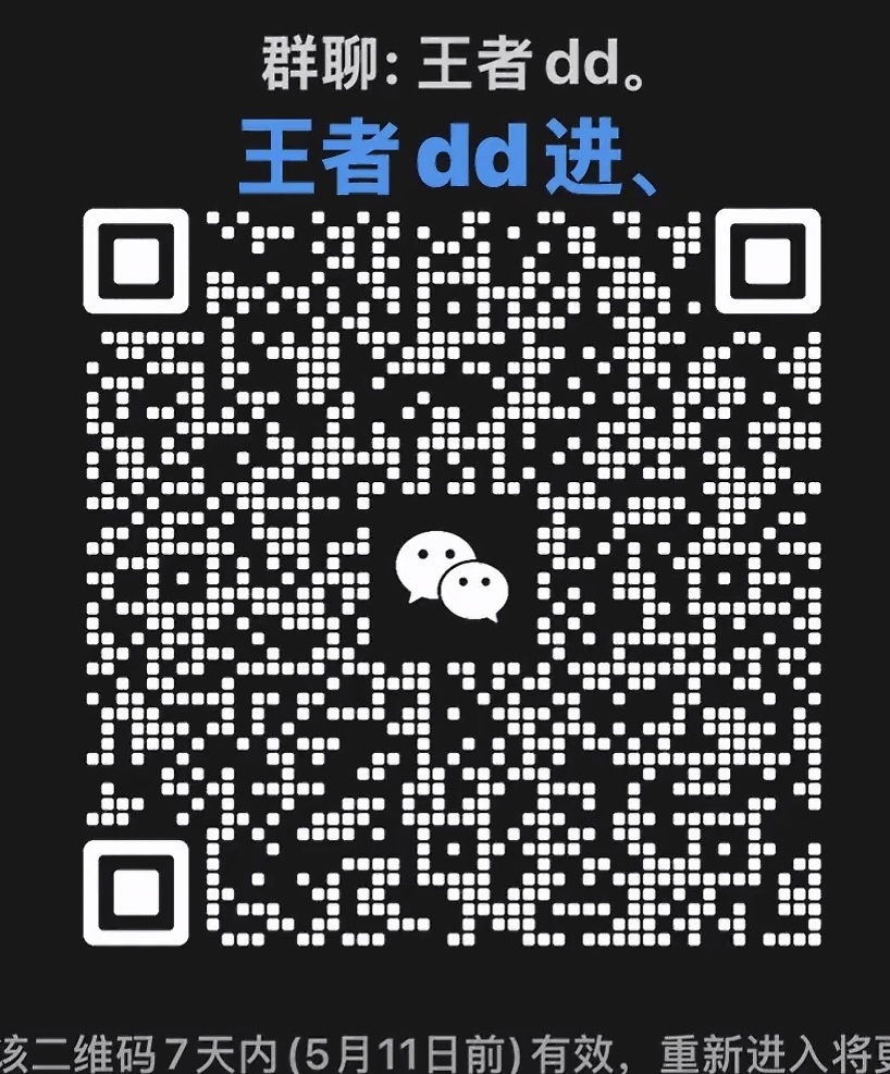 王者dd