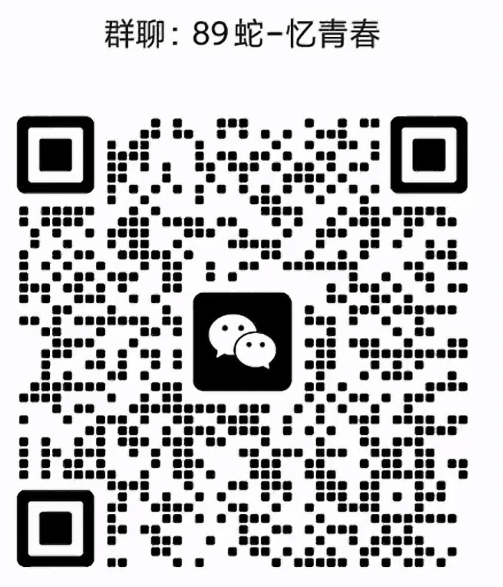89蛇忆青春