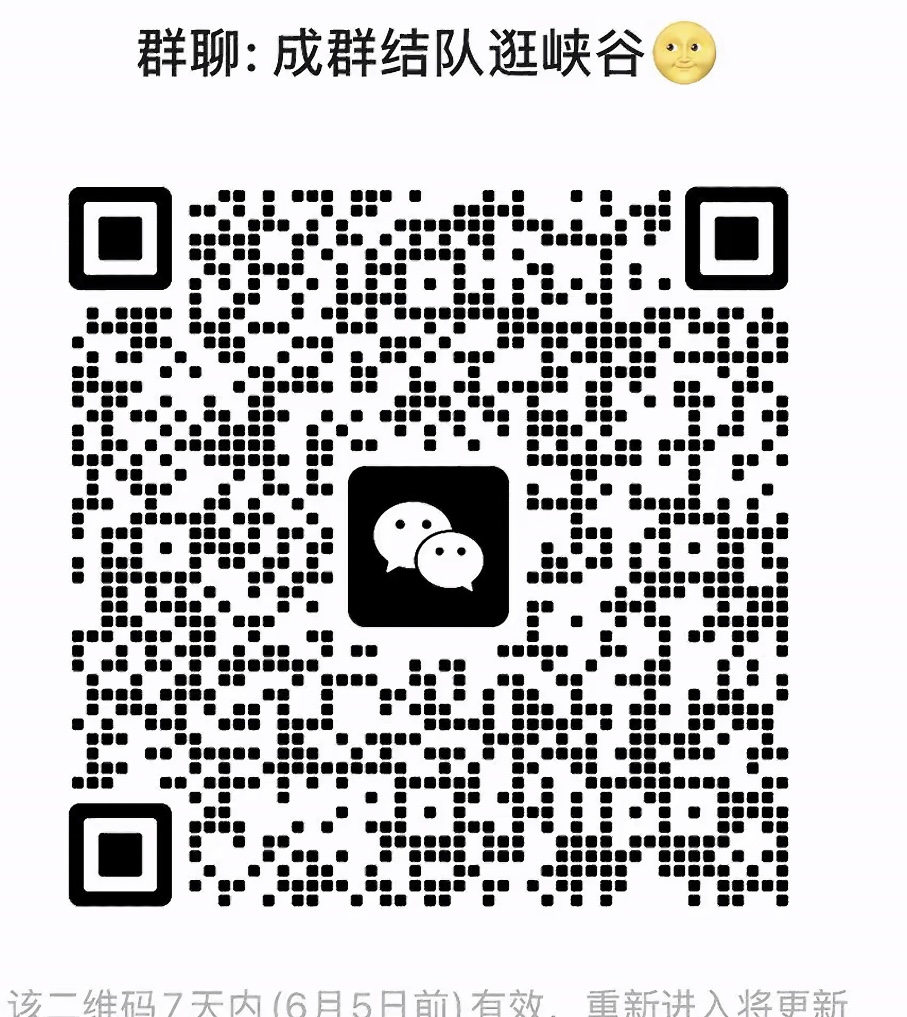 成群结队逛峡谷