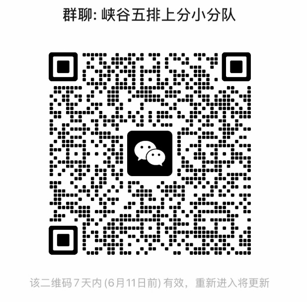峡谷五排上分小分队