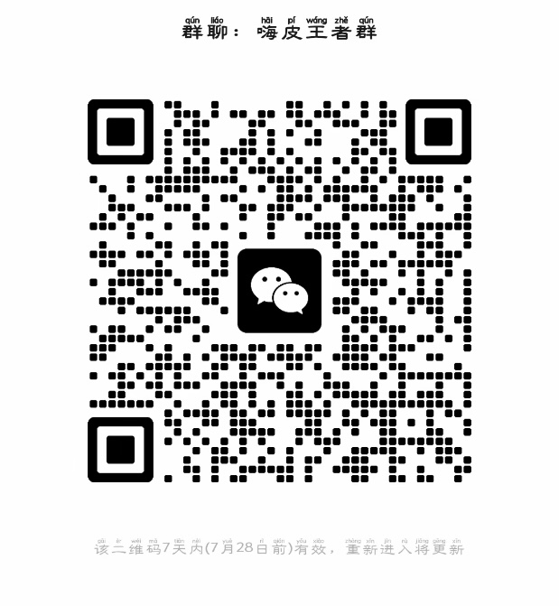 嗨皮王者群