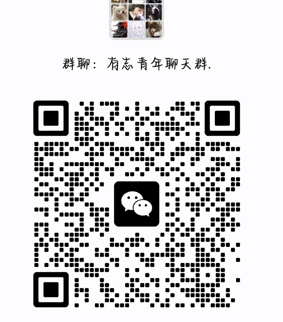 有志青年聊天群
