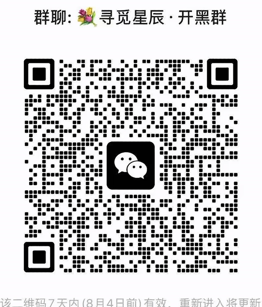 寻觅星辰开黑群